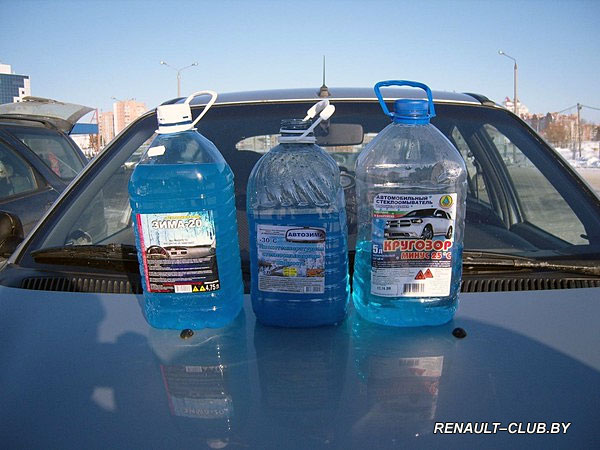 Встреча владельцев Renault (28.01.2012)